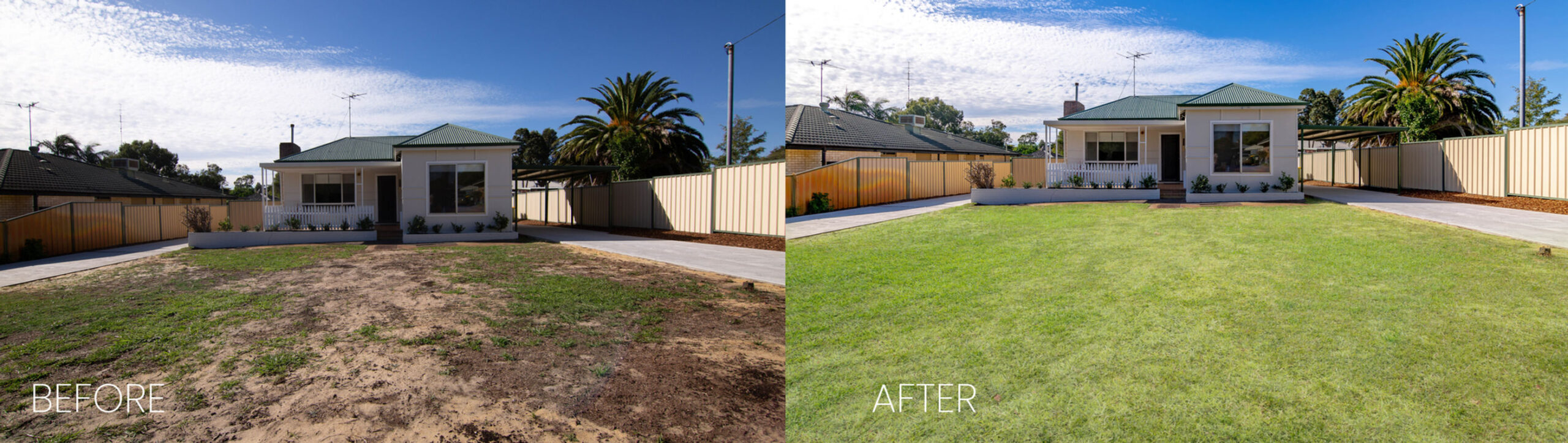 8d99f4_cde1bbe4c9a44788ad2242428a686199~mv2